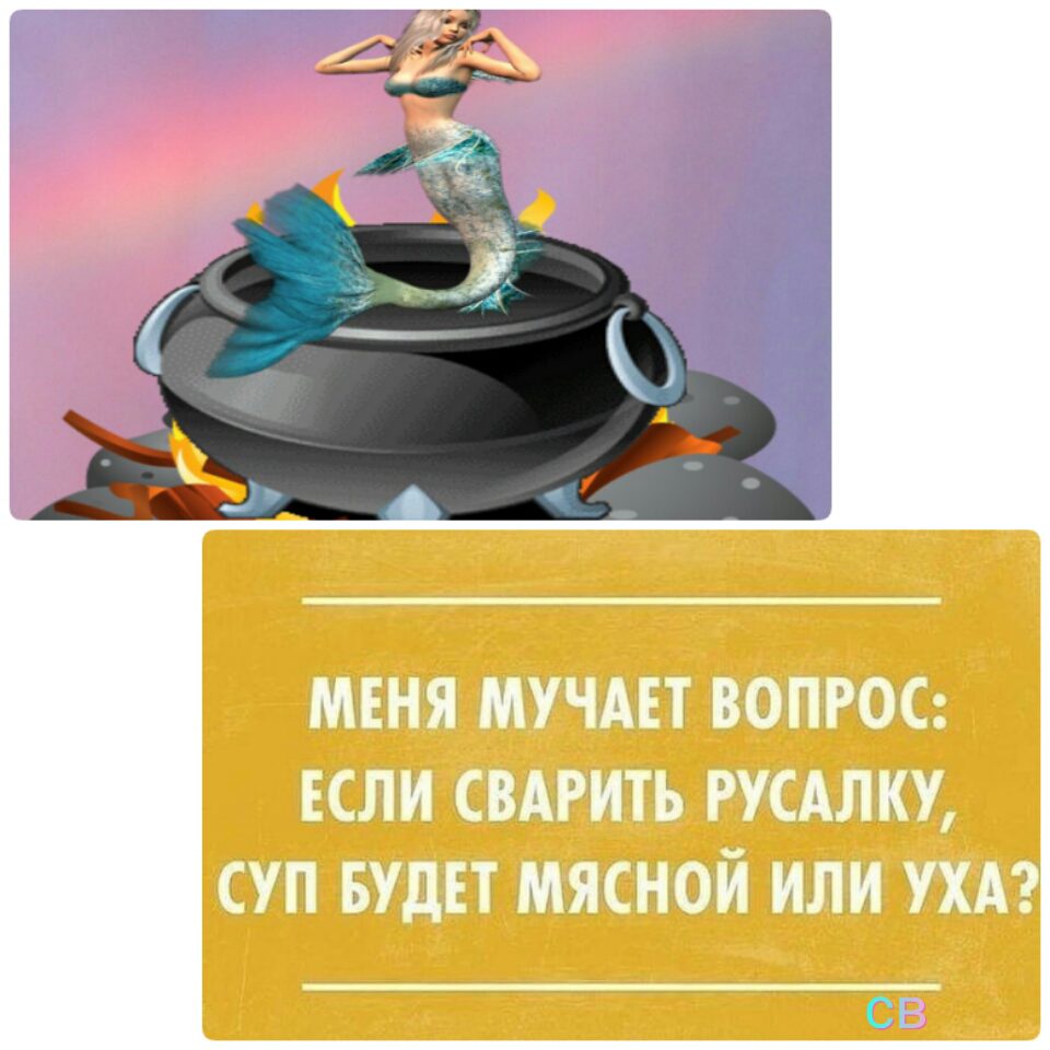 imagяe.jpg