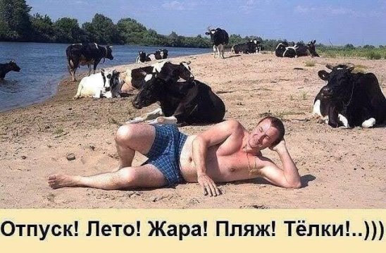 imagяe.jpg