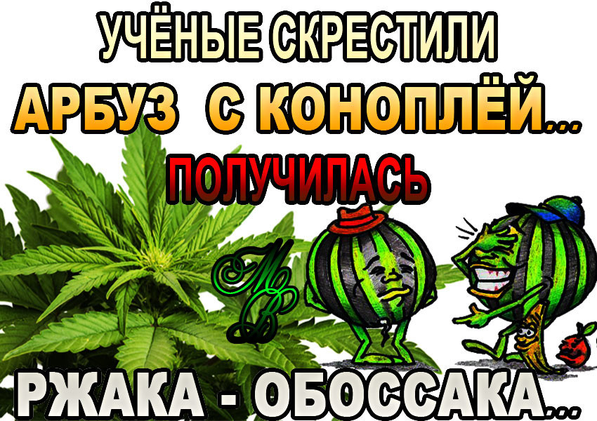 imaгкge.jpg