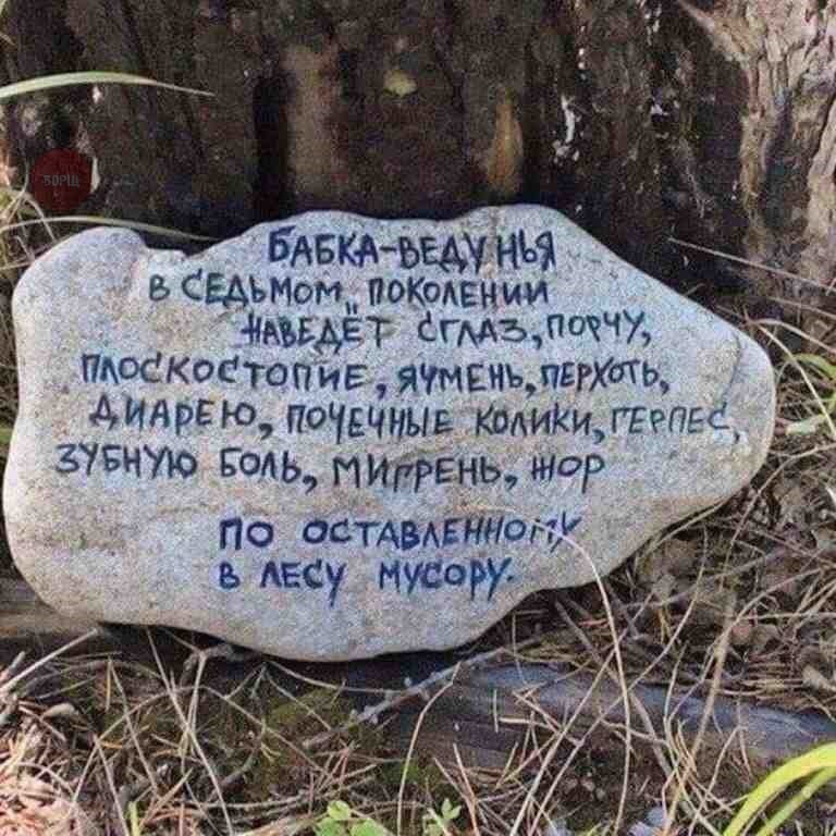 imagпe.jpg