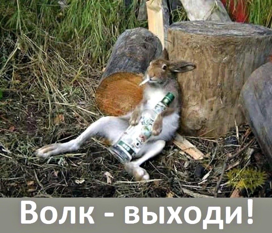 imagпe.jpg