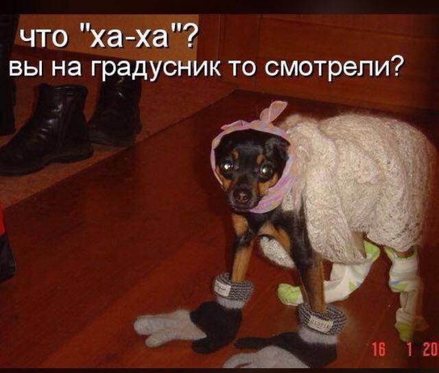 imagпe.jpg