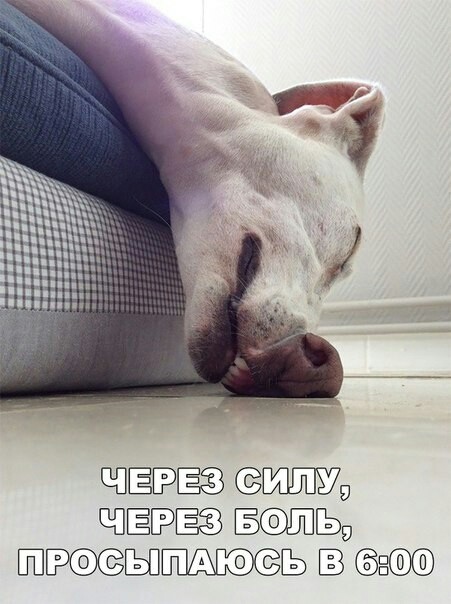 imagпe.jpg