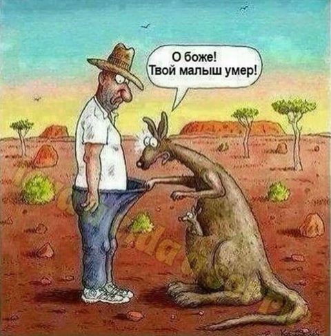 imagпкe.jpg