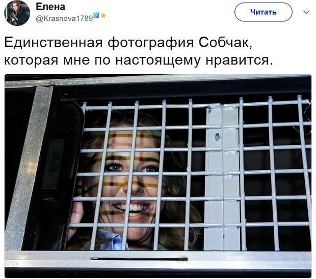imagппe.jpg