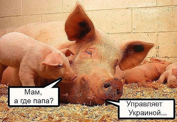 imagвцe.jpg