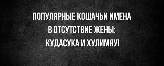 imagвe.jpg