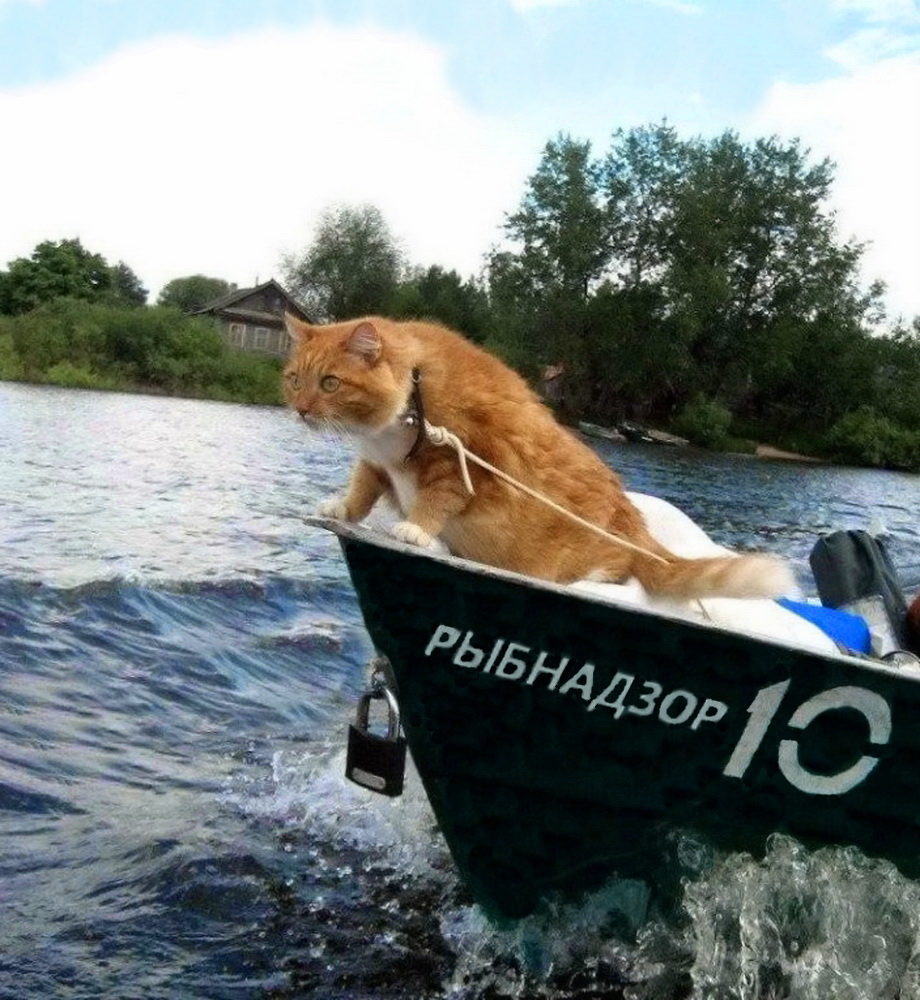 imagвe.jpg