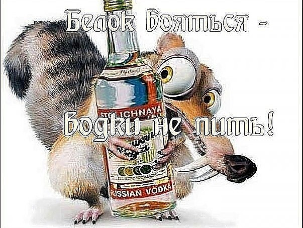 imaлмge.jpg
