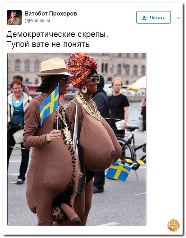 imaоge.jpg