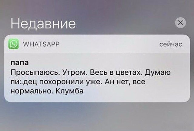 imaпge.jpg