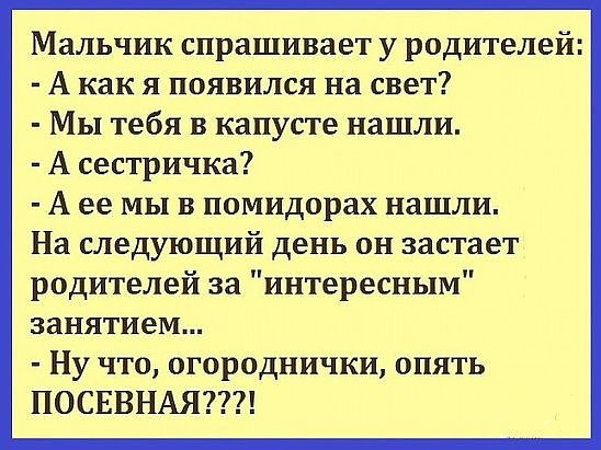 imaшge.jpg