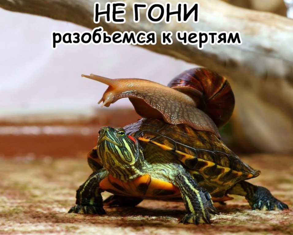 imaуge.jpg