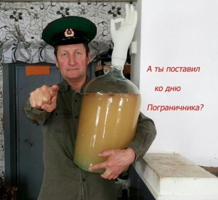 imавage.jpg