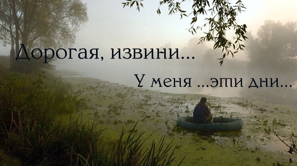imaыыge.jpg