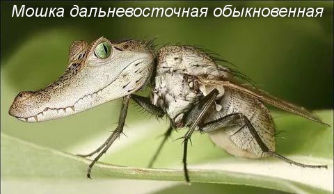 IMG-20.jpg