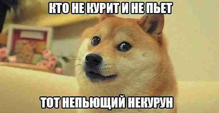IMG-20150319-WA0009.jpg
