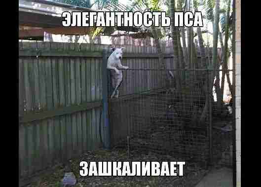 IMG-20150319-WA0012.jpg