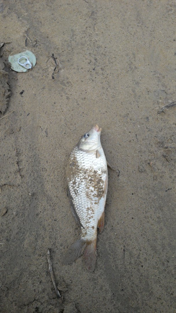 IMG-20150614-WA0006.jpeg