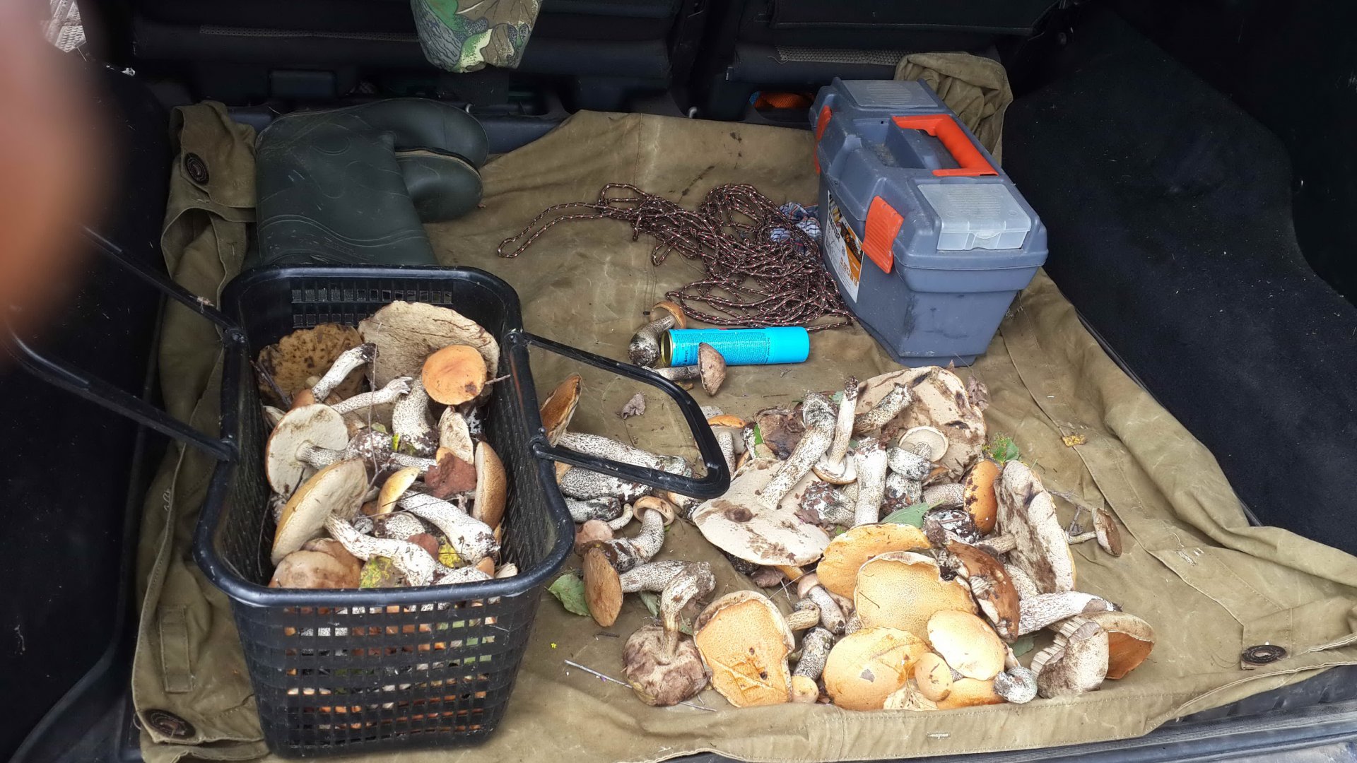 IMG-20150812-WA0019.jpeg
