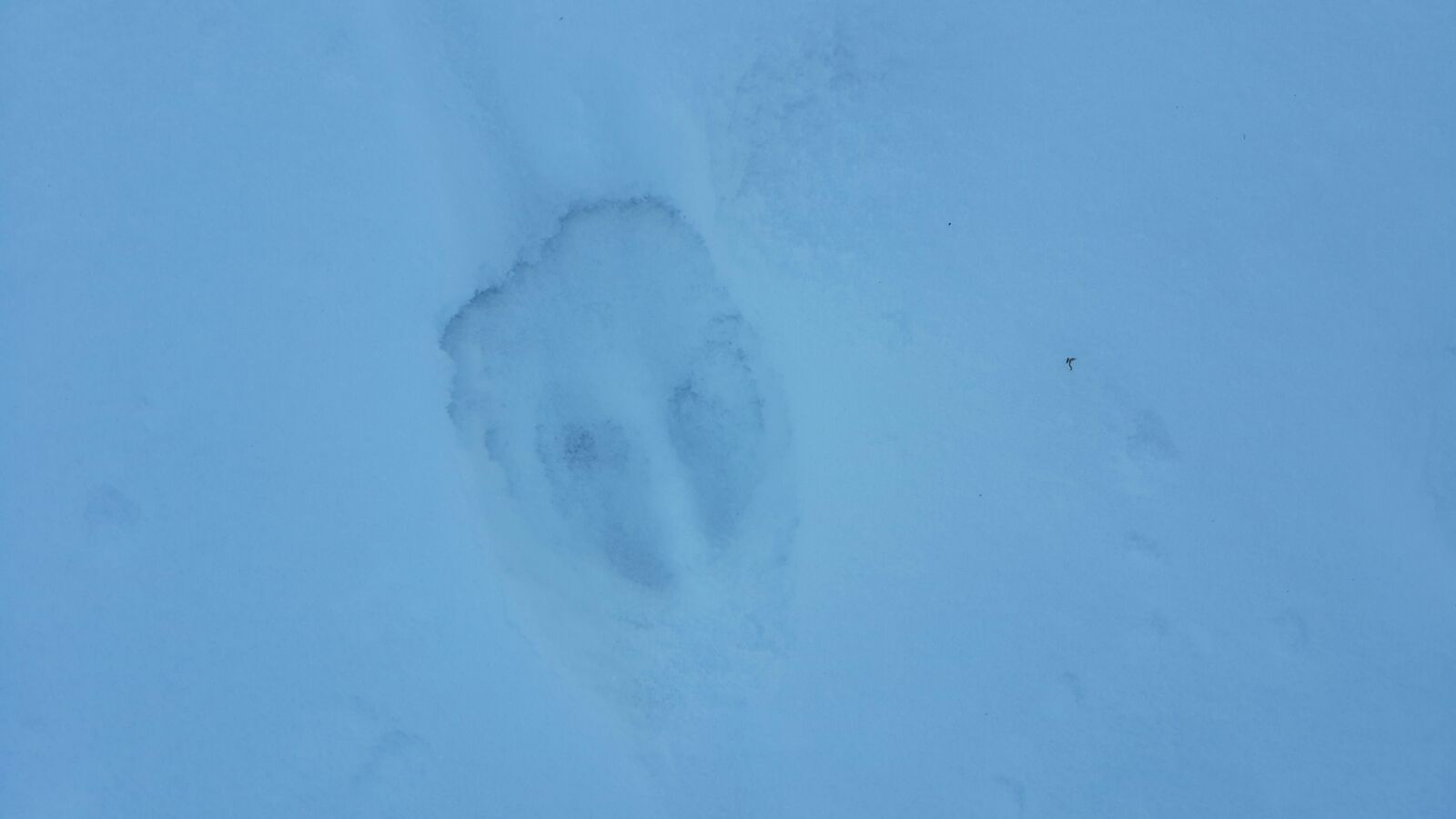 IMG-20160104-WA0007.jpg