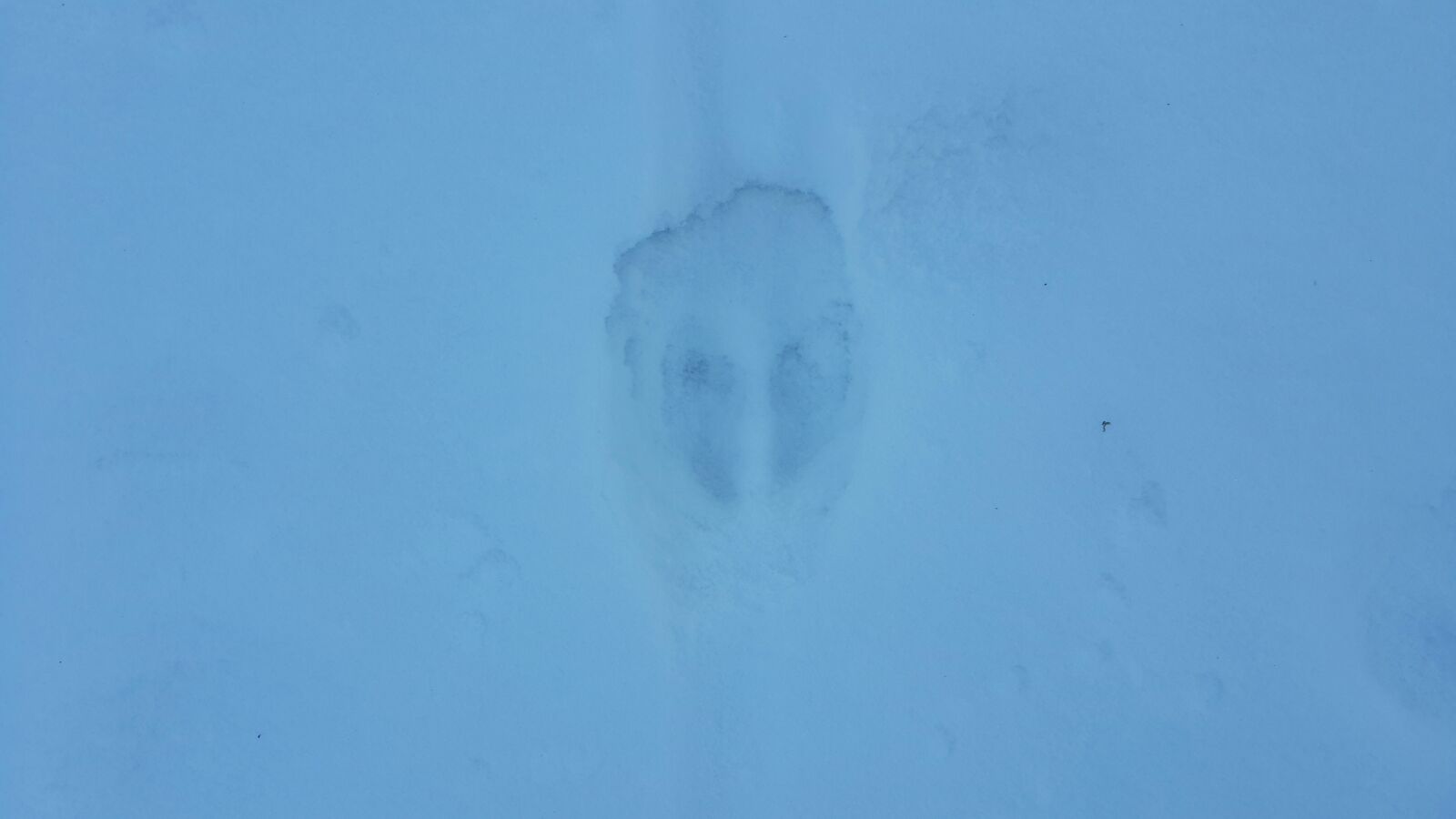 IMG-20160104-WA0008.jpg