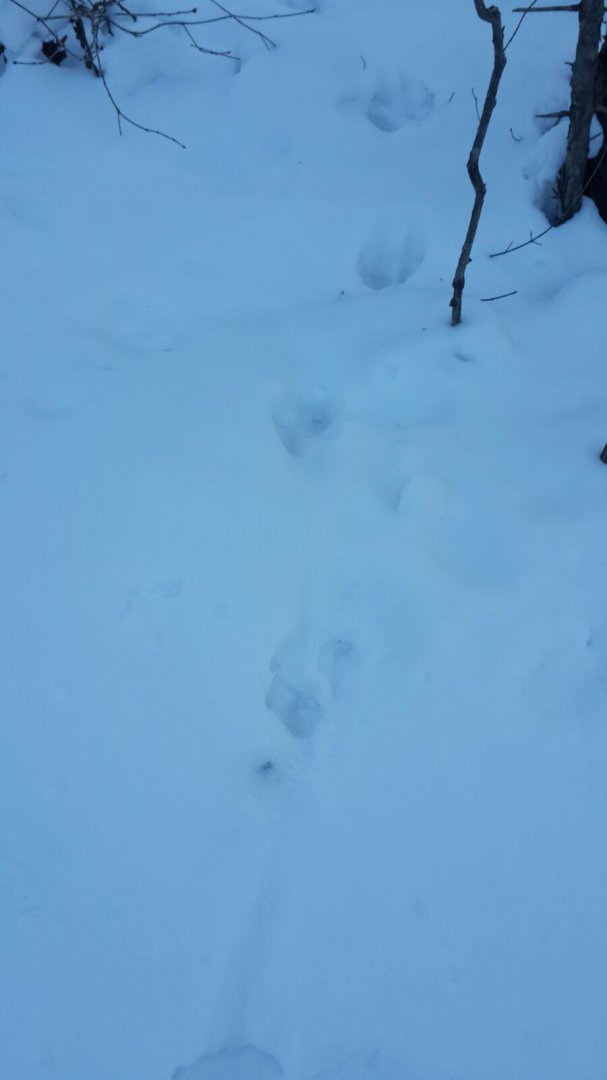 IMG-20160104-WA0011.jpg