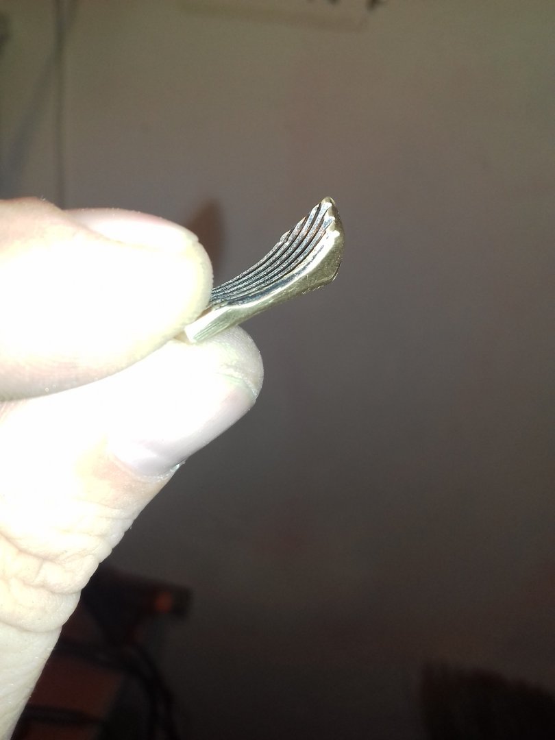 IMG-20160207-WA0013.jpeg