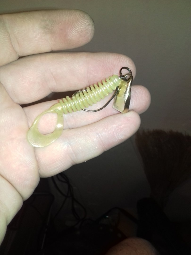 IMG-20160207-WA0019.jpeg