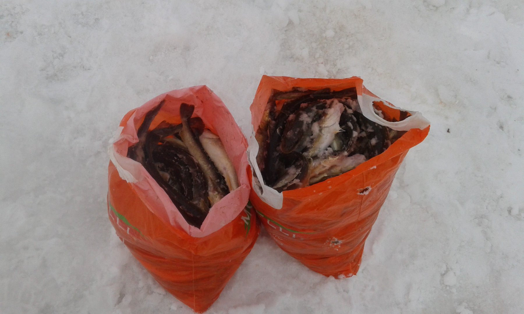 IMG-20160322-WA0019.jpeg