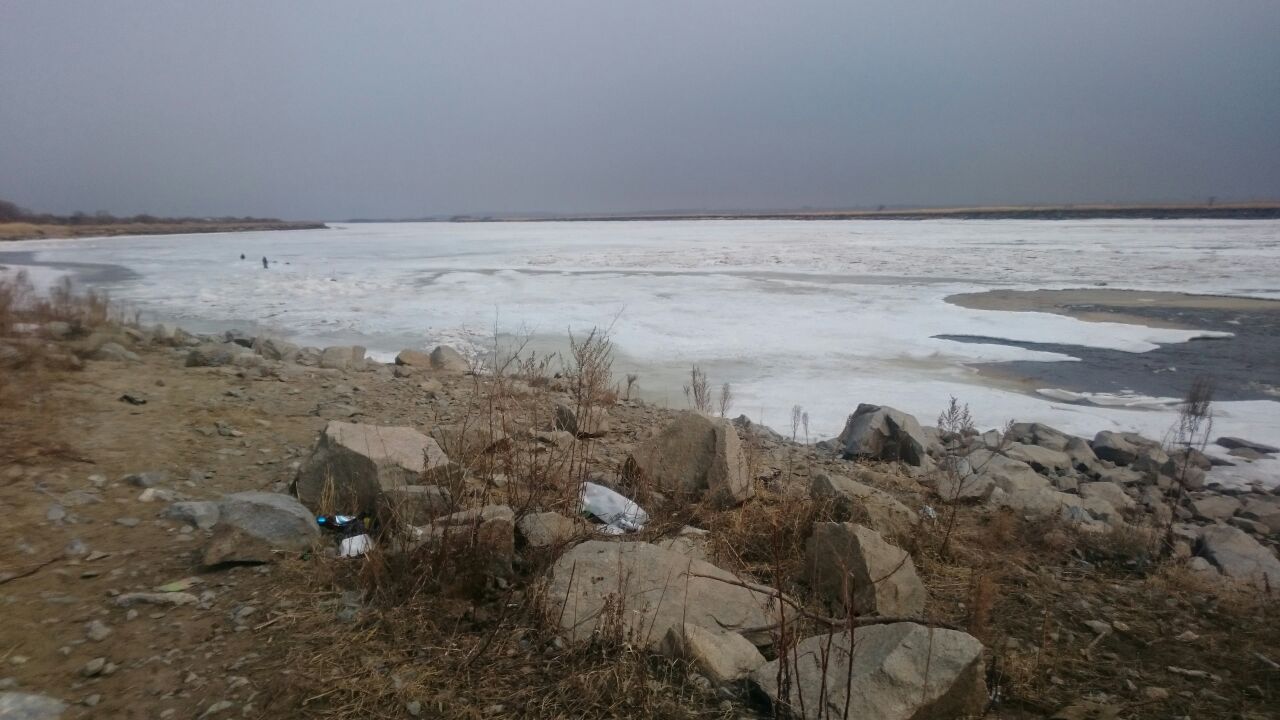 IMG-20160329-WA0000.jpg