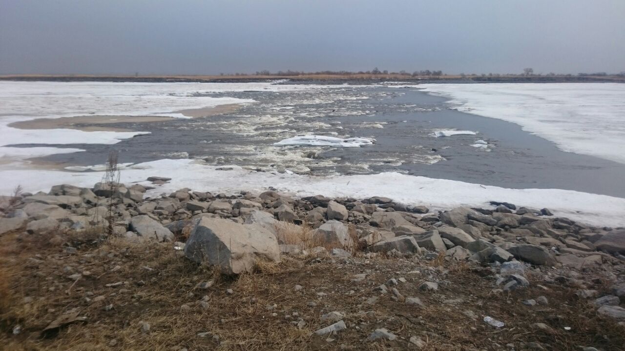IMG-20160329-WA0001.jpg