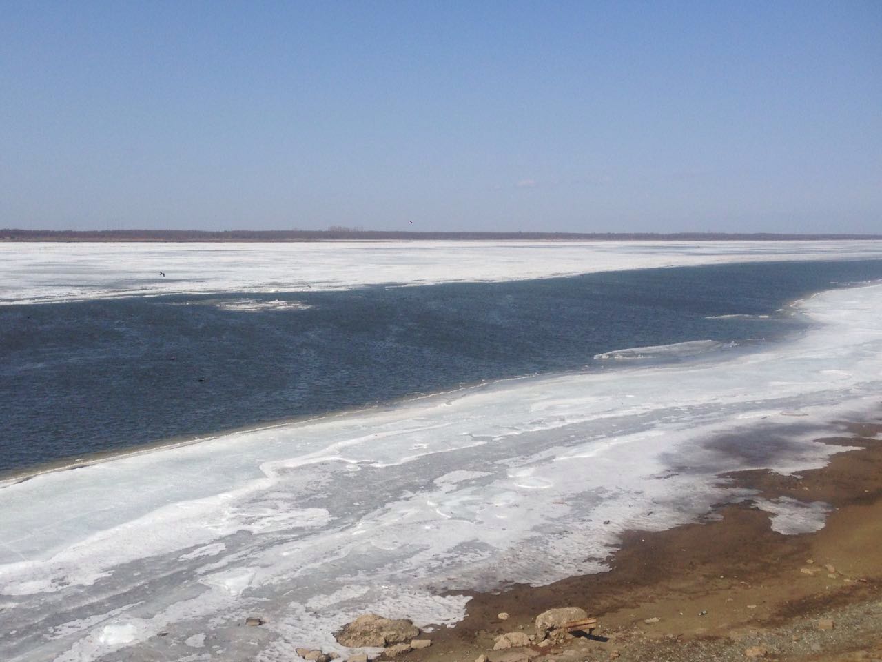 IMG-20160403-WA0000.jpg