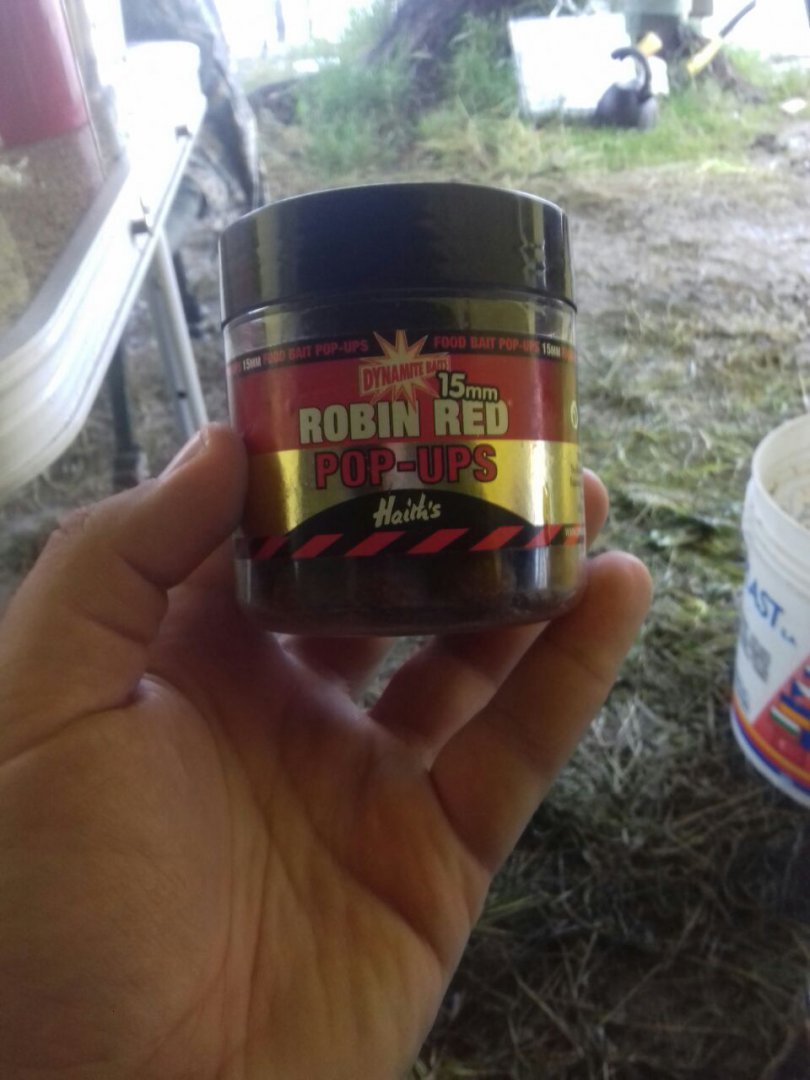 IMG-20160511-WA0033.jpg