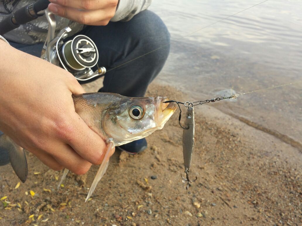 IMG-20160530-WA0001.jpg