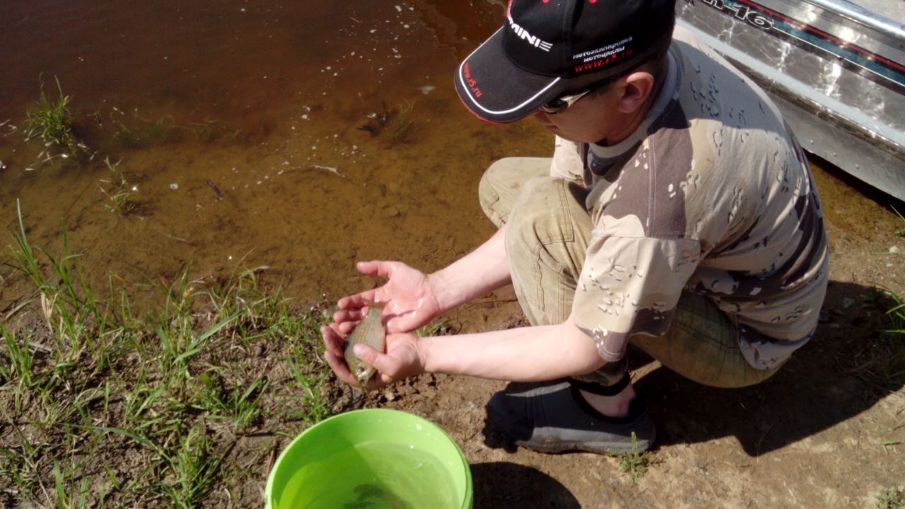 IMG-20160620-WA0031.jpg
