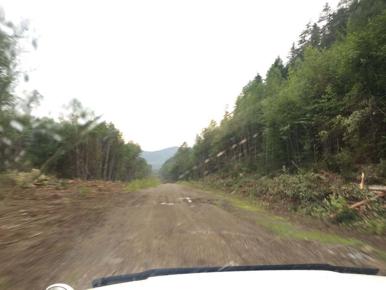 IMG-20160731-WA0000.jpg