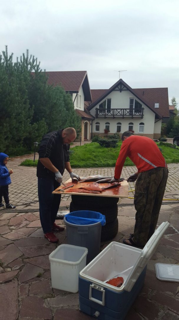 IMG-20160909-WA0013.jpg