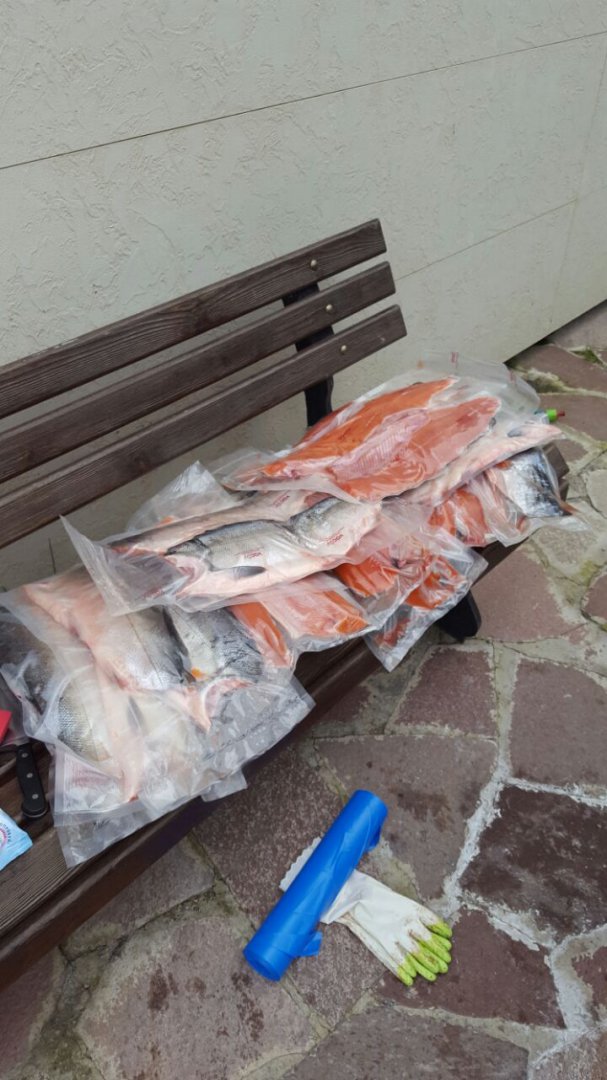 IMG-20160909-WA0016.jpg