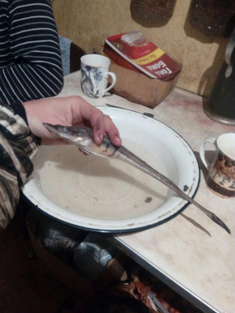 IMG-20161102-WA0000.jpg