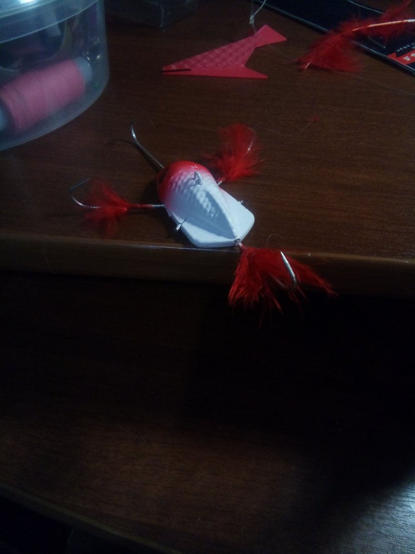 IMG-20161209-WA0029.jpeg