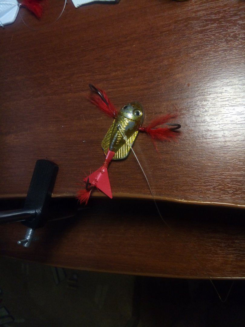 IMG-20161209-WA0040.jpeg