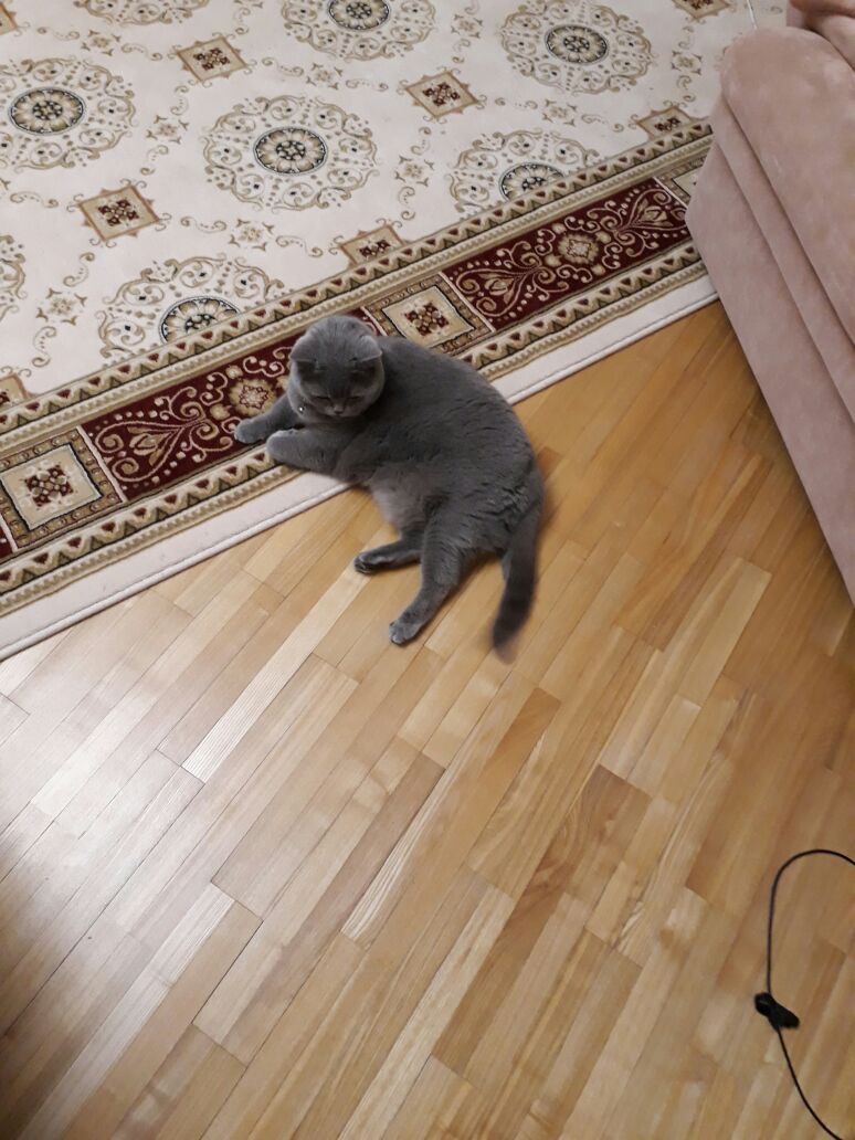 IMG-20170330-WA0000.jpg