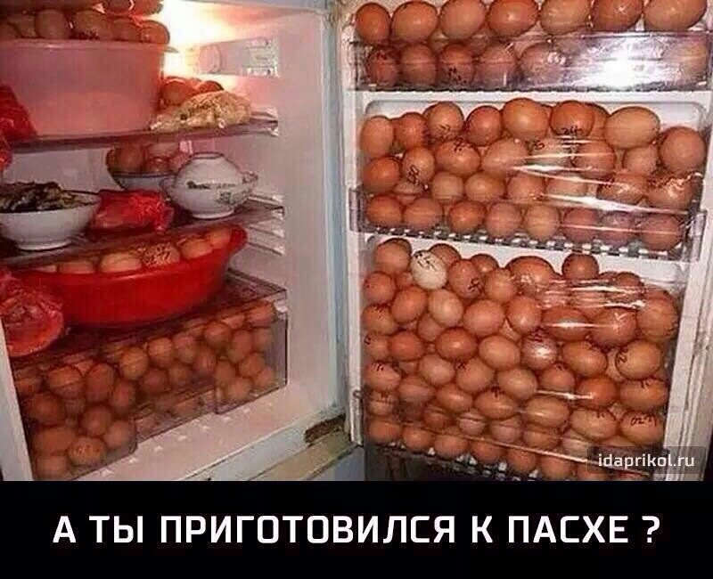 IMG-20170411-WA0000.jpg