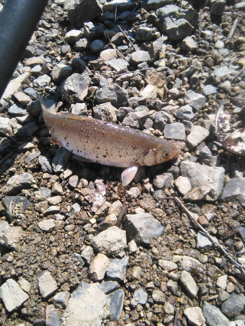 IMG-20170416-WA0022.jpeg