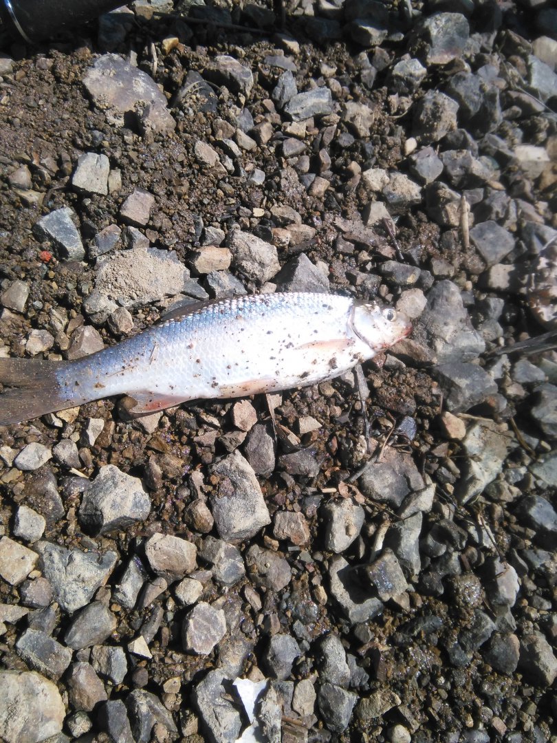 IMG-20170416-WA0024.jpeg