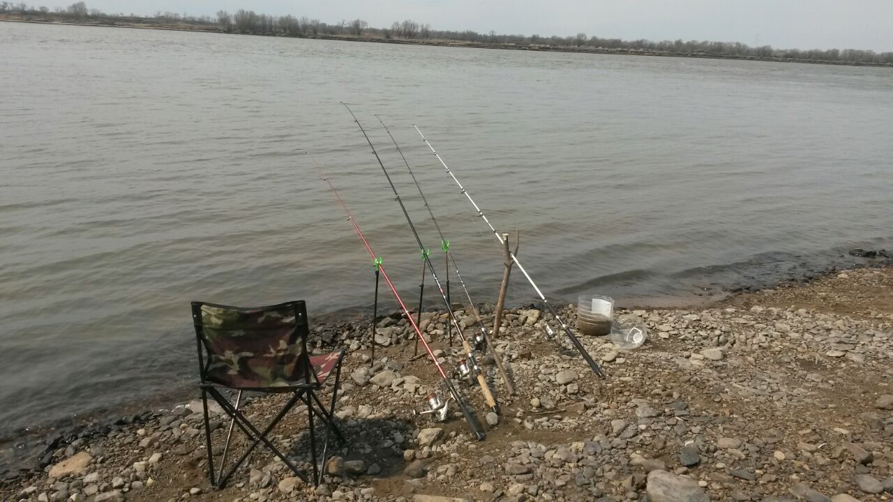 IMG-20170423-WA0007.jpg