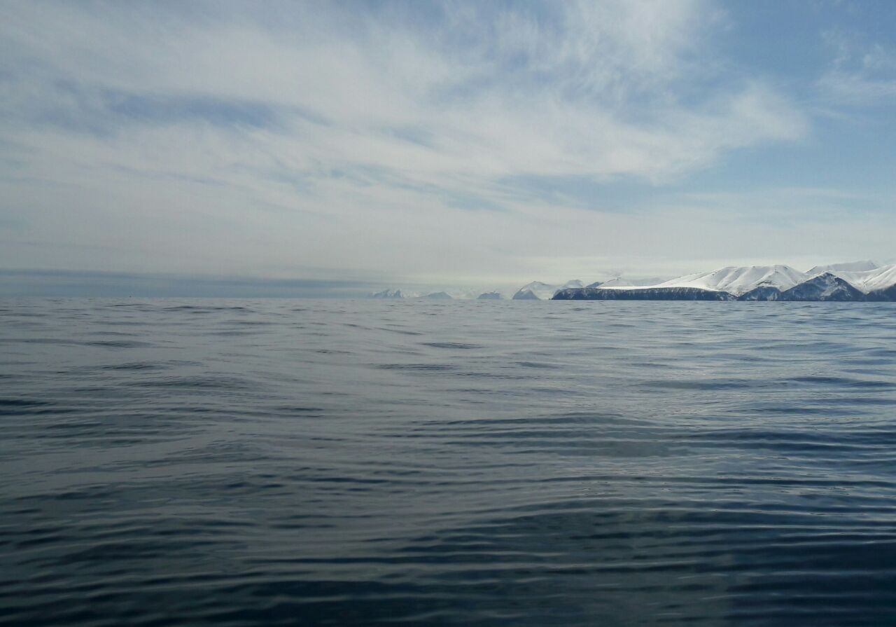 IMG-20170508-WA0014.jpg