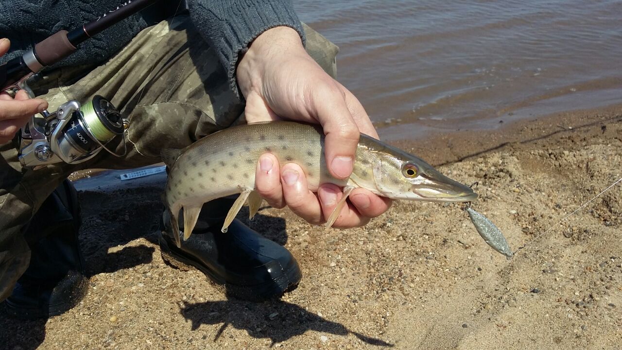 IMG-20170509-WA0013.jpg