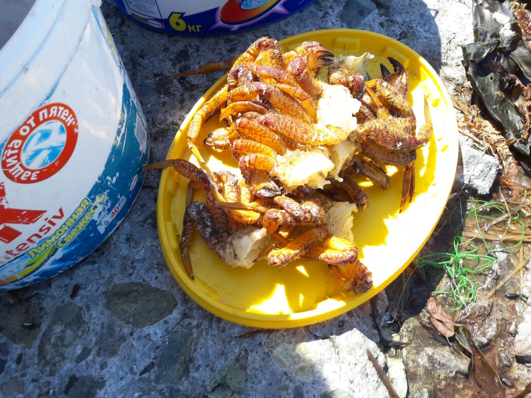 IMG-20170514-WA0014.jpg
